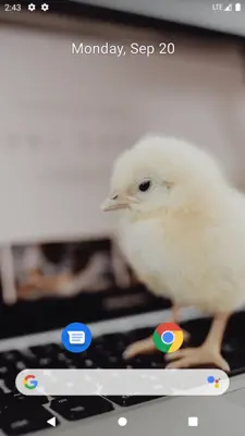 Chick Wallpaper android App screenshot 2