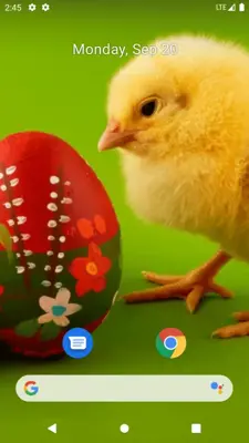 Chick Wallpaper android App screenshot 5