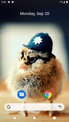 Chick Wallpaper android App screenshot 7